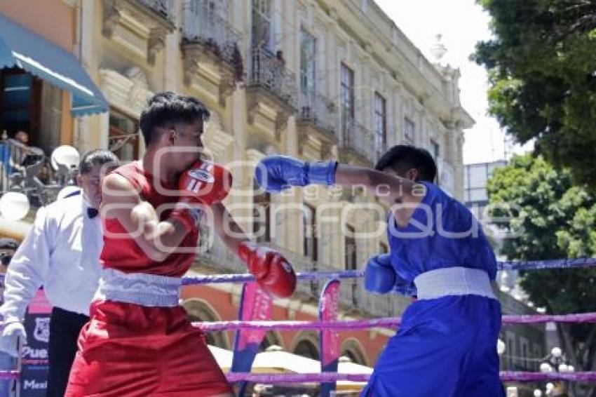 TORNEO DE LOS BARRIOS DE BOX