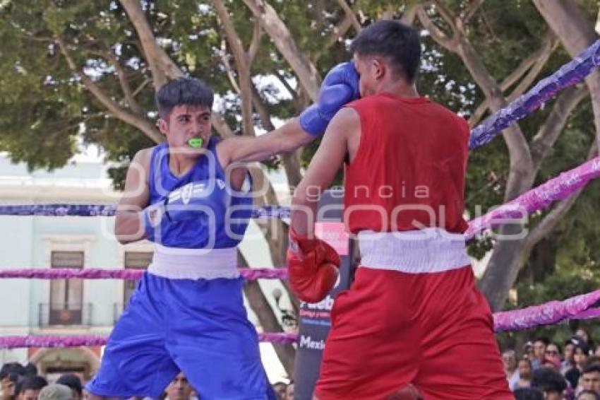 TORNEO DE LOS BARRIOS DE BOX