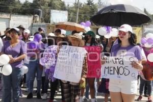 SANTA RITA TLAHUAPAN  MANIFESTACIÓN DANNA