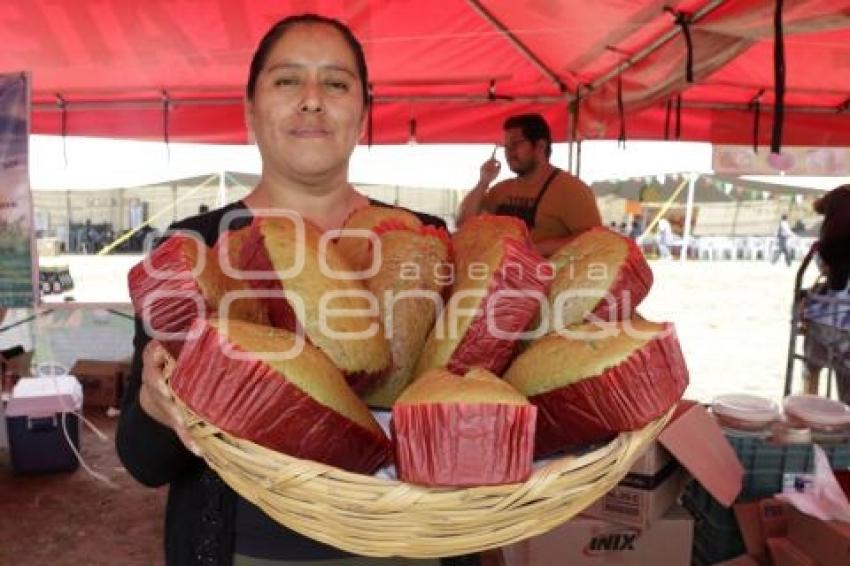 SAN ANDRÉS CHOLULA . FERIA DEL NOPAL