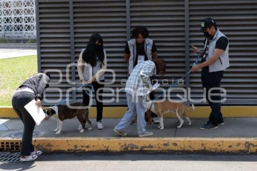 BUAP . EXAMEN DE ADMISIÓN