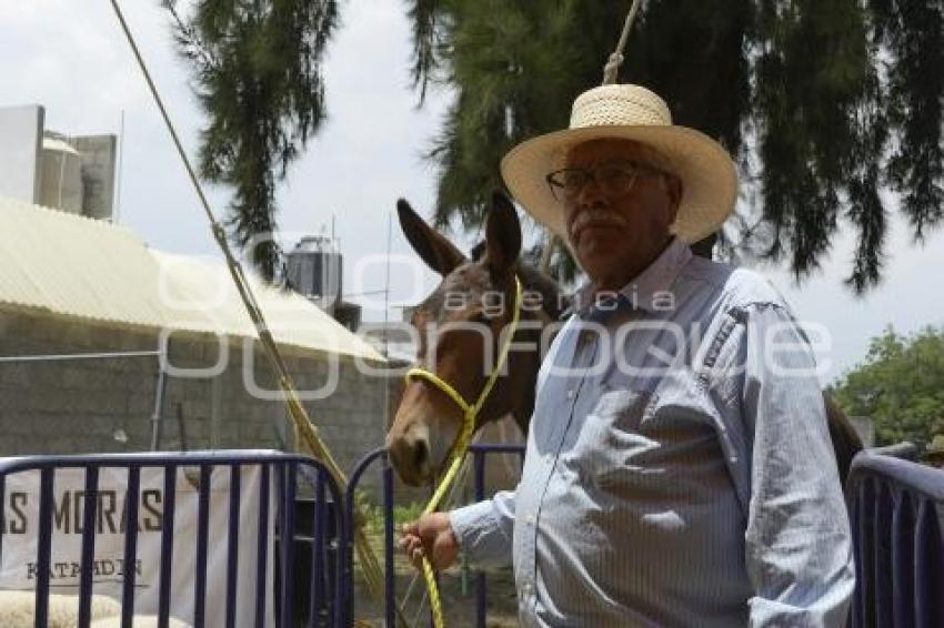 TLAXCALA . APOYO CAMPO