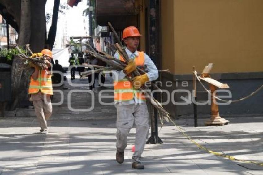 PODA DE ÁRBOLES . PLAZA DE LA DEMOCRACIA