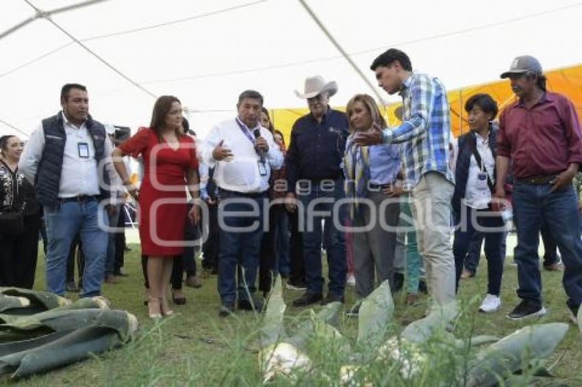 TLAXCALA . APOYO CAMPO