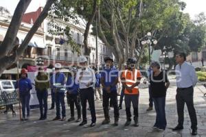 AYUNTAMIENTO . REVISIÓN ARBOLADO