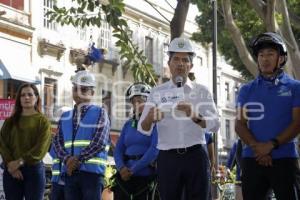 AYUNTAMIENTO . REVISIÓN ARBOLADO