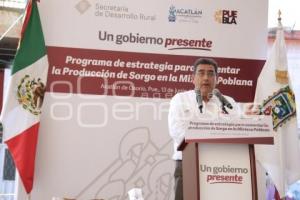 ACATLÁN . ENTREGA SEMILLA DE SORGO