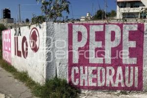 BARDAS . PEPE CHEDRAUI