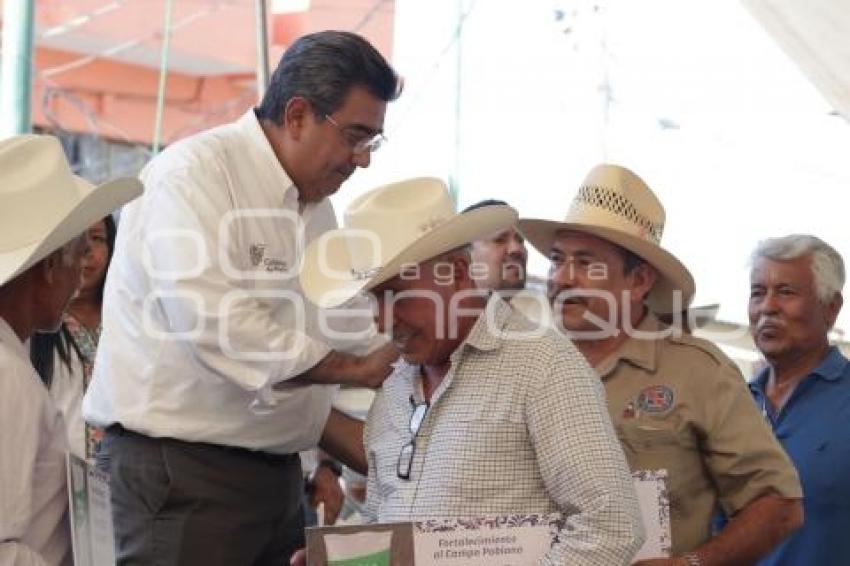 ACATLÁN . ENTREGA SEMILLA DE SORGO