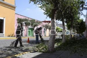 TLAXCALA . MANTENIMIENTO ÁRBOLES