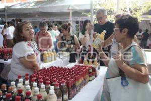 YUCATÁN EXPONE