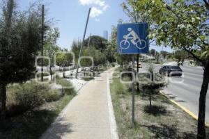 CICLOPISTA VÍA ATLIXCÁYOTL