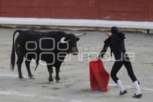 TLAXCALA . TOROS