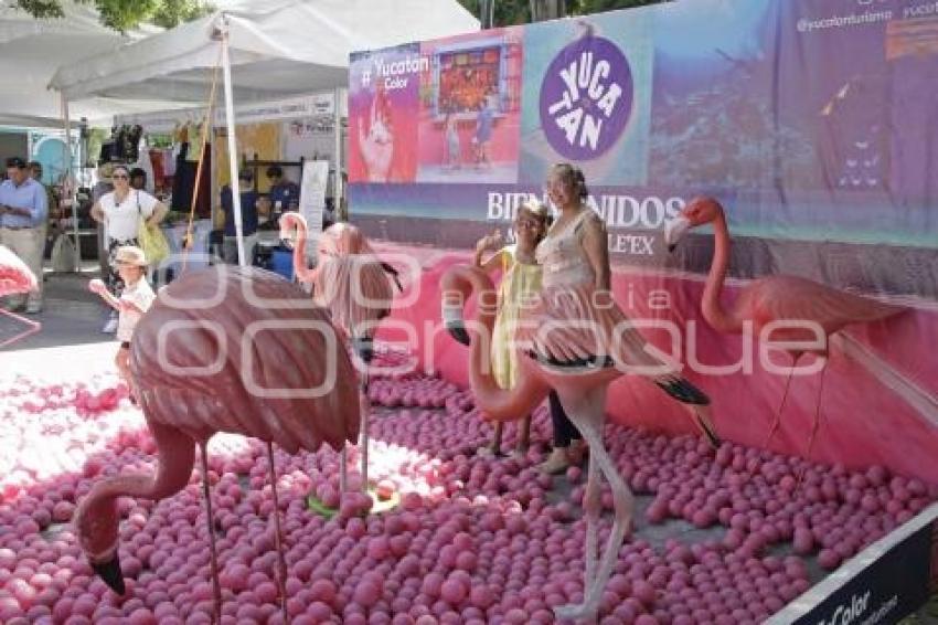 YUCATÁN EXPONE