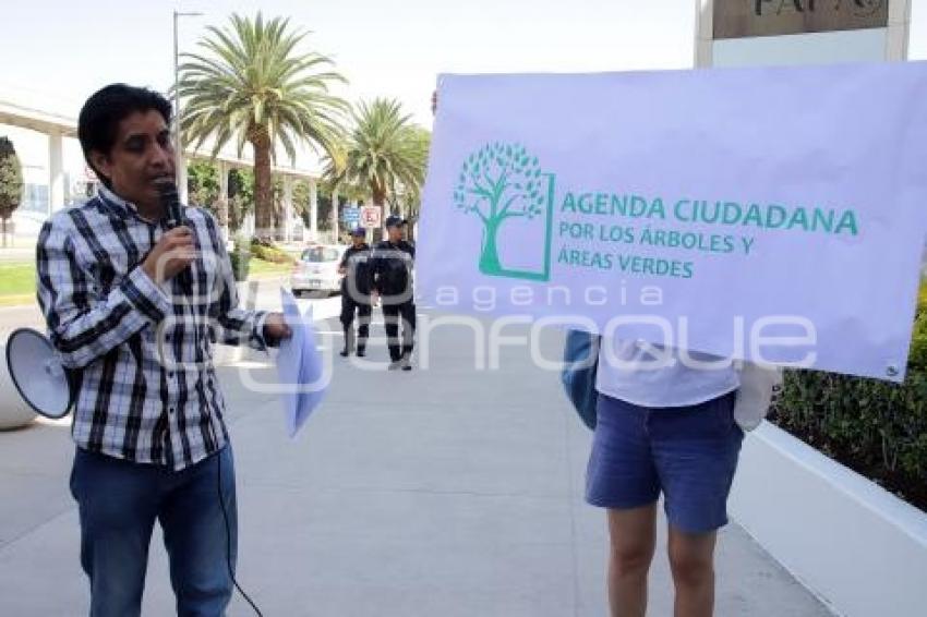 MANIFESTACIÓN ÁRBOLES TALADOS