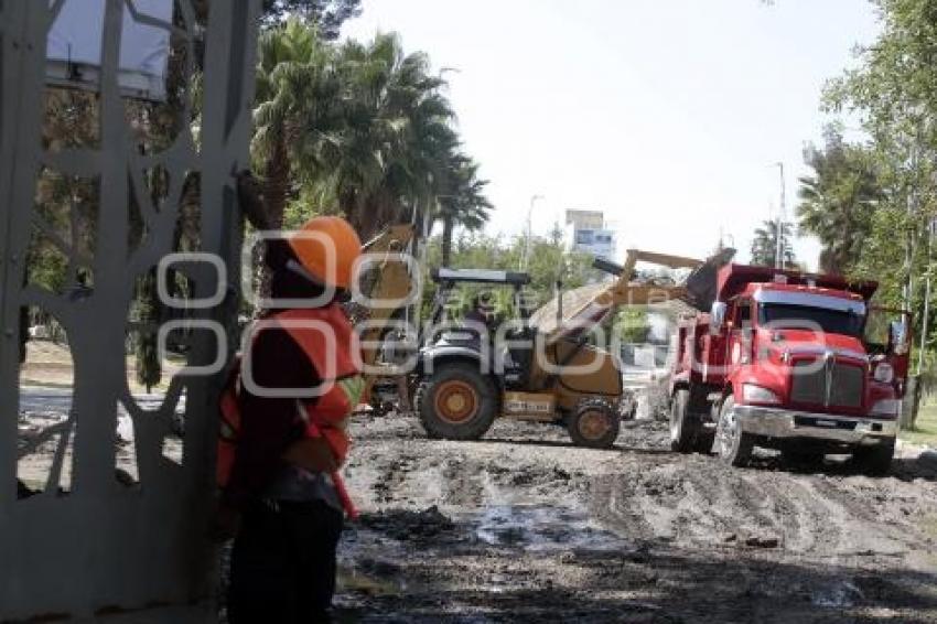 PARQUE DEL ARTE . REHABILITACIÓN