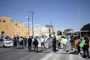 MANIFESTACIÓN PLAN DE AYALA