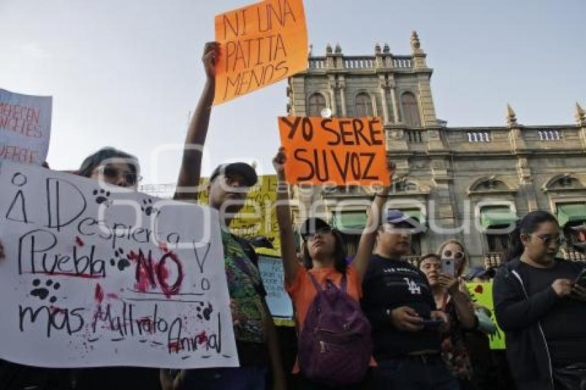 PROTESTA . MALTRATO ANIMAL