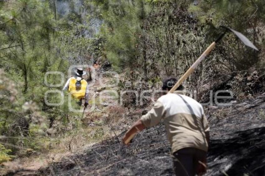 INCENDIO ZACATLÁN