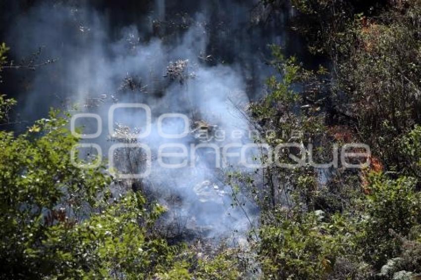 INCENDIO ZACATLÁN