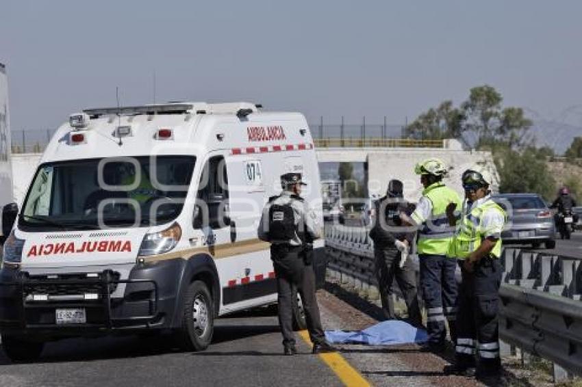 ATROPELLADO . AUTOPISTA ORIZABA