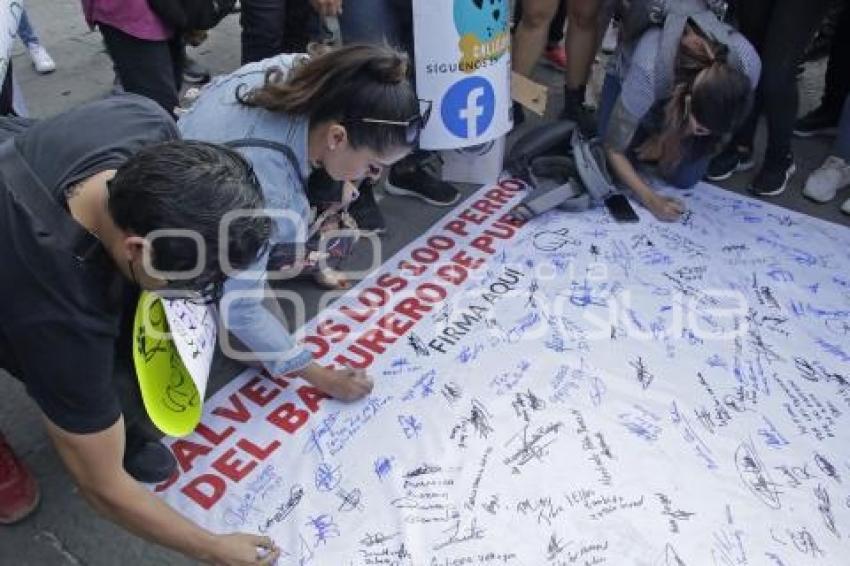 PROTESTA . MALTRATO ANIMAL