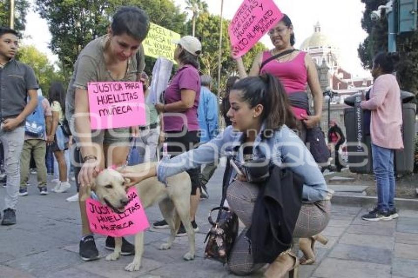 PROTESTA . MALTRATO ANIMAL