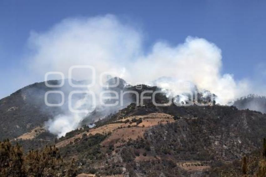 INCENDIO ZACATLÁN