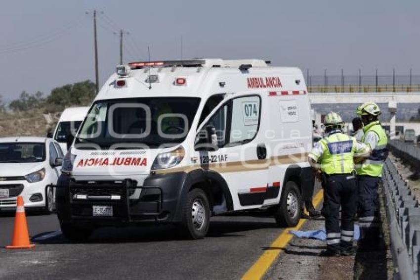 ATROPELLADO . AUTOPISTA ORIZABA