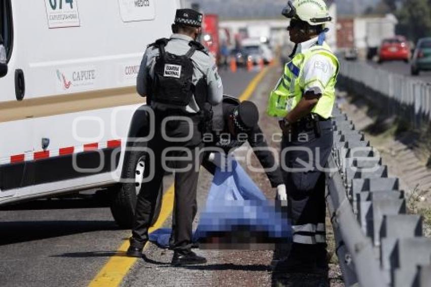 ATROPELLADO . AUTOPISTA ORIZABA