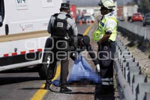 ATROPELLADO . AUTOPISTA ORIZABA
