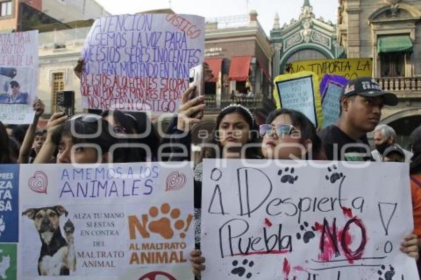 PROTESTA . MALTRATO ANIMAL