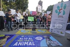 PROTESTA . MALTRATO ANIMAL