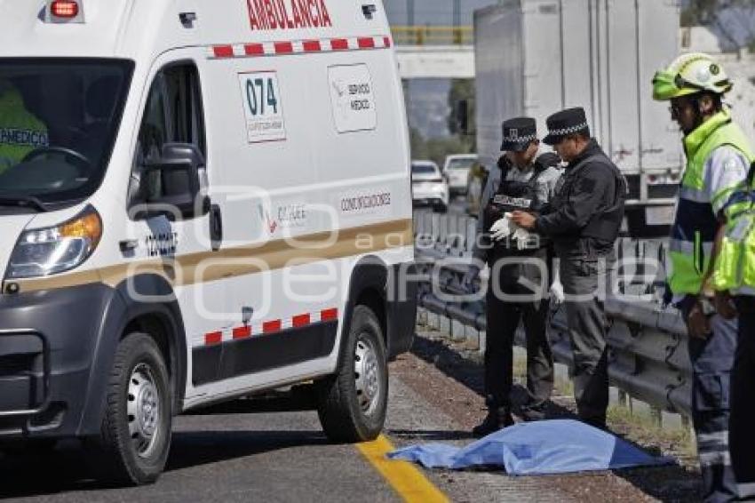 ATROPELLADO . AUTOPISTA ORIZABA