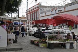 REMODELACIÓN PARQUE ANALCO