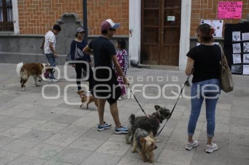 TLAXCALA . MANIFESTACIÓN MALTRATO ANIMAL