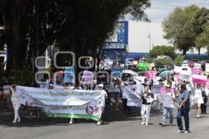 MARCHA POR LOS DERECHOS DE LOS ANIMALES