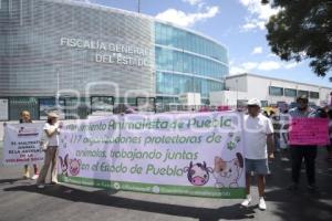 MARCHA POR LOS DERECHOS DE LOS ANIMALES