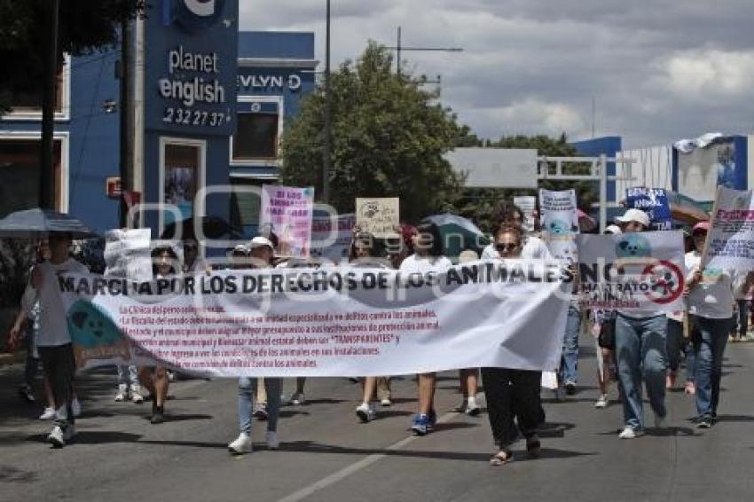 MARCHA POR LOS DERECHOS DE LOS ANIMALES