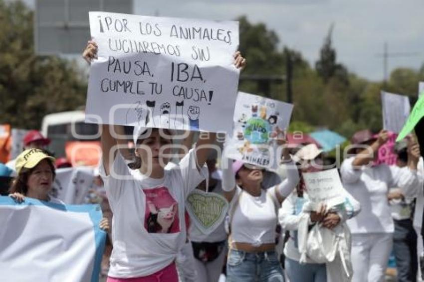 MARCHA POR LOS DERECHOS DE LOS ANIMALES