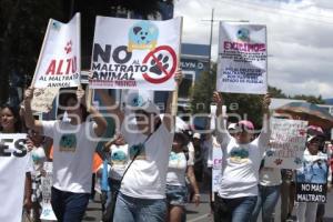 MARCHA POR LOS DERECHOS DE LOS ANIMALES