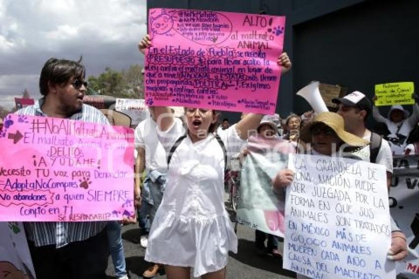 MARCHA POR LOS DERECHOS DE LOS ANIMALES