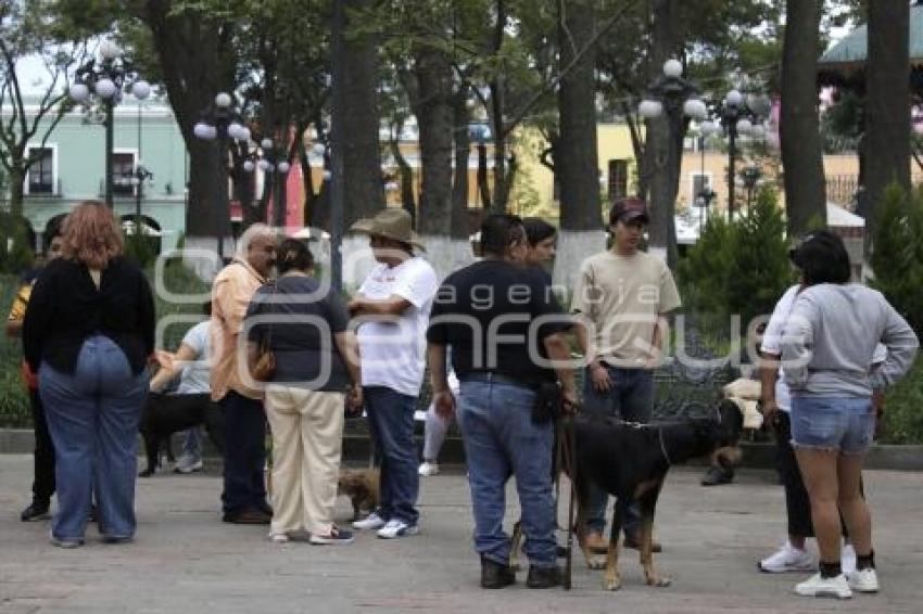 TLAXCALA . MANIFESTACIÓN MALTRATO ANIMAL