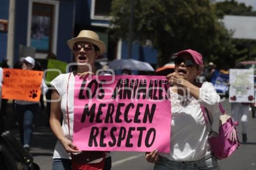 MARCHA POR LOS DERECHOS DE LOS ANIMALES