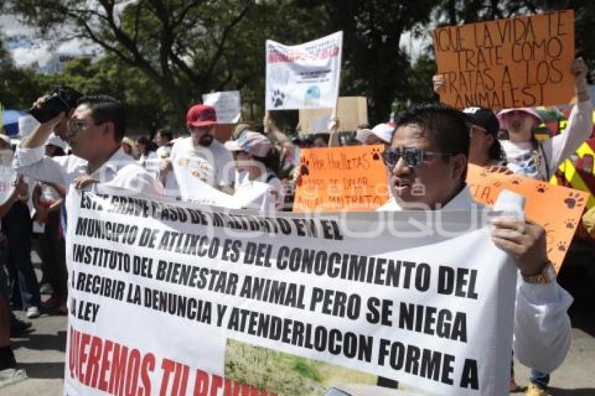 MARCHA POR LOS DERECHOS DE LOS ANIMALES