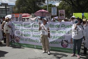 MARCHA POR LOS DERECHOS DE LOS ANIMALES