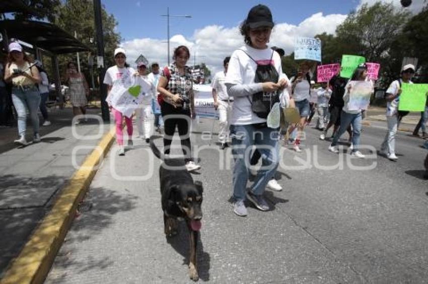 MARCHA POR LOS DERECHOS DE LOS ANIMALES