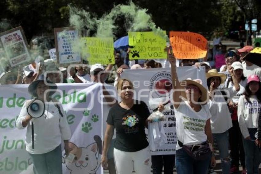 MARCHA POR LOS DERECHOS DE LOS ANIMALES