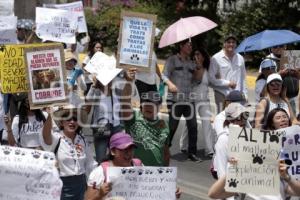 MARCHA POR LOS DERECHOS DE LOS ANIMALES