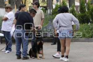 TLAXCALA . MANIFESTACIÓN MALTRATO ANIMAL